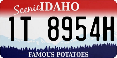 ID license plate 1T8954H