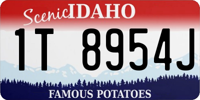 ID license plate 1T8954J