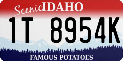ID license plate 1T8954K