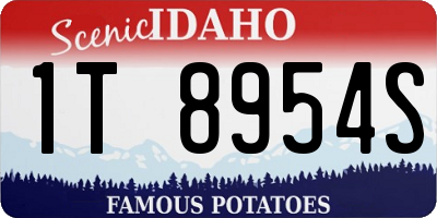 ID license plate 1T8954S