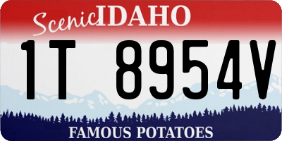 ID license plate 1T8954V