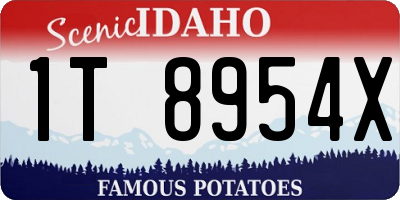 ID license plate 1T8954X