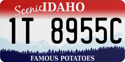ID license plate 1T8955C