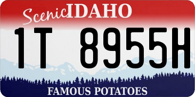 ID license plate 1T8955H