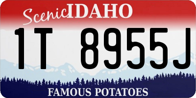 ID license plate 1T8955J