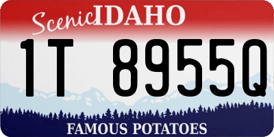 ID license plate 1T8955Q
