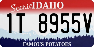 ID license plate 1T8955V