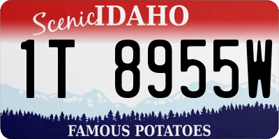 ID license plate 1T8955W
