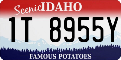 ID license plate 1T8955Y