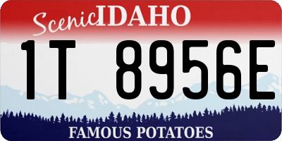 ID license plate 1T8956E