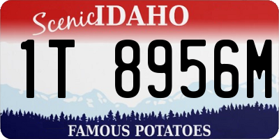 ID license plate 1T8956M
