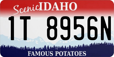 ID license plate 1T8956N