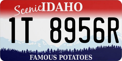 ID license plate 1T8956R