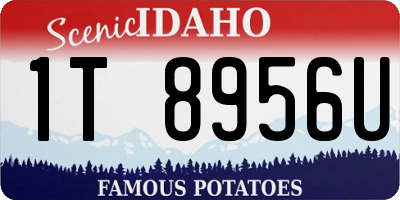 ID license plate 1T8956U