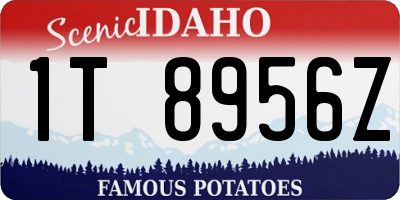 ID license plate 1T8956Z