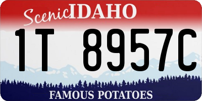 ID license plate 1T8957C