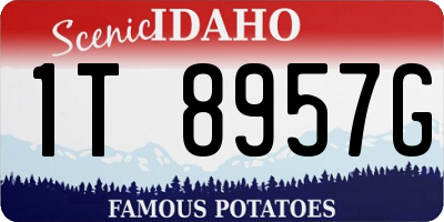 ID license plate 1T8957G