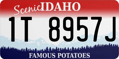 ID license plate 1T8957J