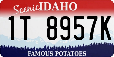 ID license plate 1T8957K