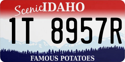 ID license plate 1T8957R