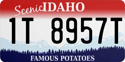 ID license plate 1T8957T