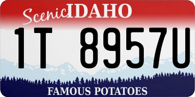 ID license plate 1T8957U