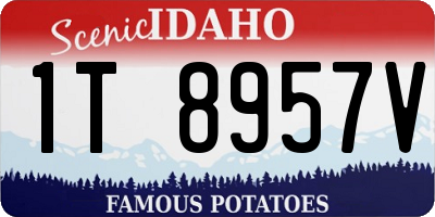 ID license plate 1T8957V