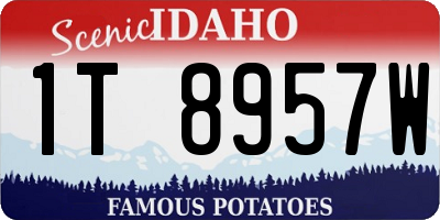 ID license plate 1T8957W