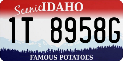 ID license plate 1T8958G