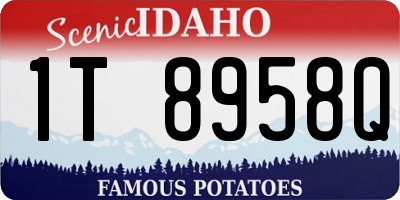 ID license plate 1T8958Q