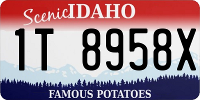ID license plate 1T8958X