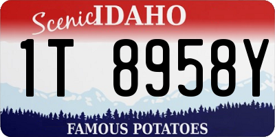 ID license plate 1T8958Y