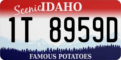 ID license plate 1T8959D