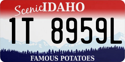 ID license plate 1T8959L
