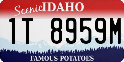 ID license plate 1T8959M