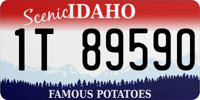 ID license plate 1T8959O