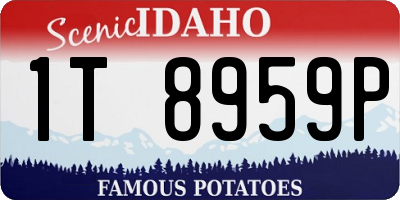 ID license plate 1T8959P