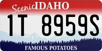 ID license plate 1T8959S