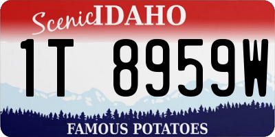 ID license plate 1T8959W
