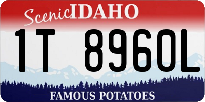 ID license plate 1T8960L