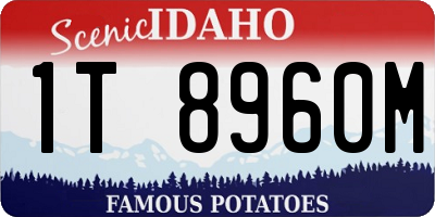 ID license plate 1T8960M
