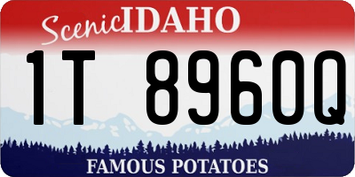 ID license plate 1T8960Q