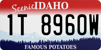 ID license plate 1T8960W