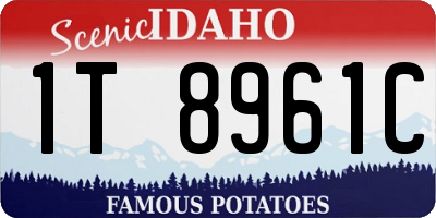 ID license plate 1T8961C