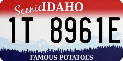 ID license plate 1T8961E
