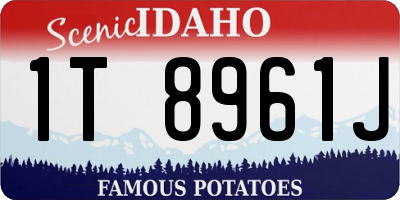 ID license plate 1T8961J