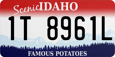 ID license plate 1T8961L