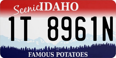 ID license plate 1T8961N