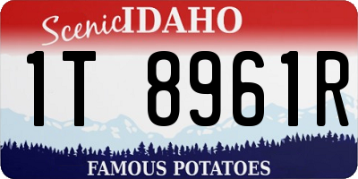 ID license plate 1T8961R