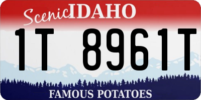 ID license plate 1T8961T